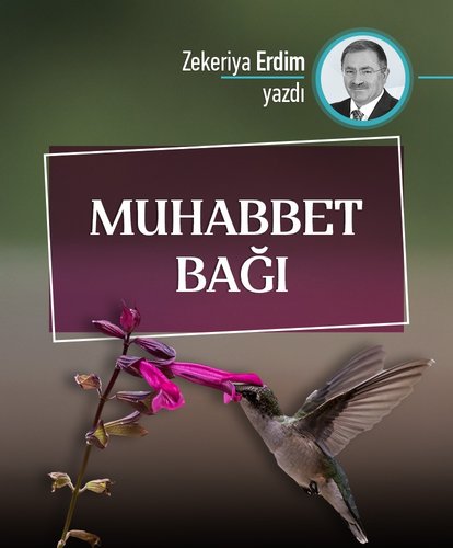 Muhabbet bağı