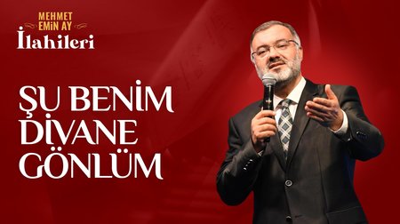 Mehmet Emin Ay - Şu Benim Divane Gönlüm