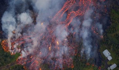NASA finds trees signal volcanic eruptions with greening effect