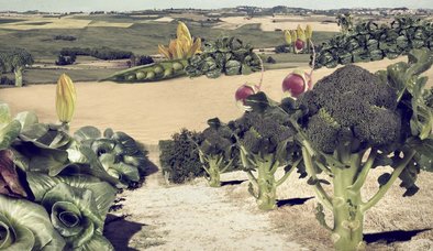 BAŞKA BİR ÇİFTÇİLİK MÜMKÜN