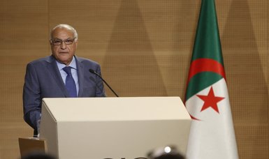 Algeria proposes transition to resolve Niger crisis