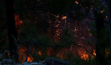 Europe extends solidarity to Turkey over massive forest fires