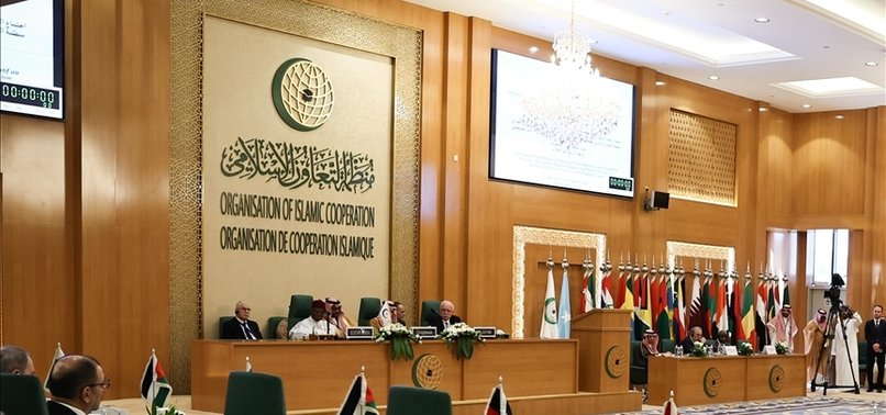 ORGANIZATION OF ISLAMIC COOPERATION CALLS FOR IMMEDIATE CEASE-FIRE IN GAZA