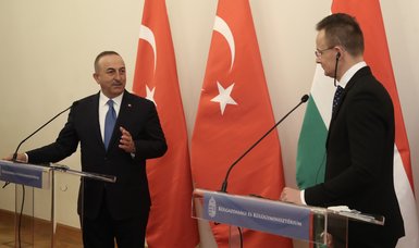 Ankara hails Hungarian support to Turkey-EU positive agenda