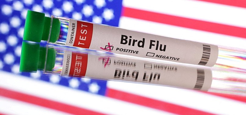 BIRD FLU SHOWS WORLD NOT READY FOR FUTURE PANDEMICS: REPORT