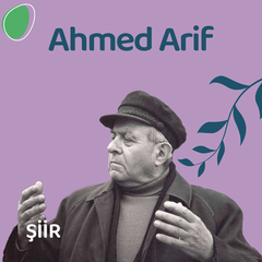 Ahmed Arif Şiirleri