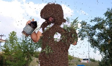 Turkish ‘Bee-Man’ dreams to set Guinness World Record