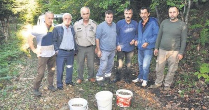 Mantar yerine para topladılar