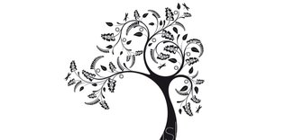 Tabiatla ilişkimiz var ya, hiç tabii değil!