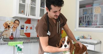 Mourning his dog, young man becomes vet to help others