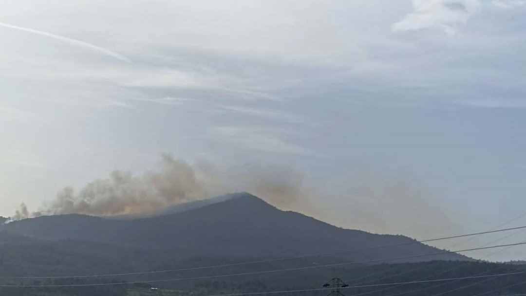 MUĞLA’DA ORMAN YANGINI
