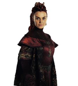 Alma Terziç – Kimdir