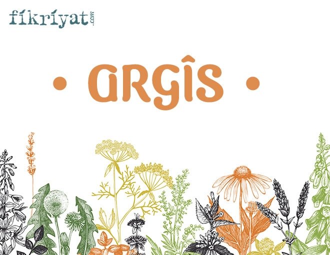 ARGÎS