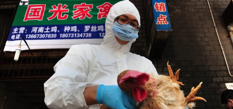 H10N3 STRAIN OF BIRD FLU SEEN IN HUMAN FOR FIRST TIME IN CHINA