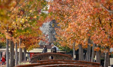 Türkiye faces record heat and drought, awaits September rains
