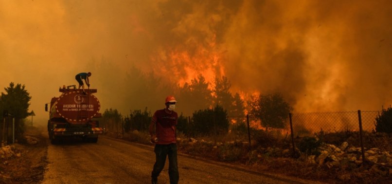 WILDFIRES RAVAGING FORESTLANDS IN MANY PARTS OF GLOBE