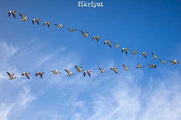 Ramazan’da İnsan Olma Sanatı