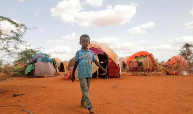 More than 700 children have died in Somalia nutrition centres, UN says