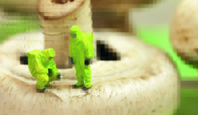 NİMETLE ŞAKA OLMAZ!