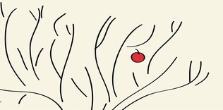 İki lokma bir hırka: Minimalizm