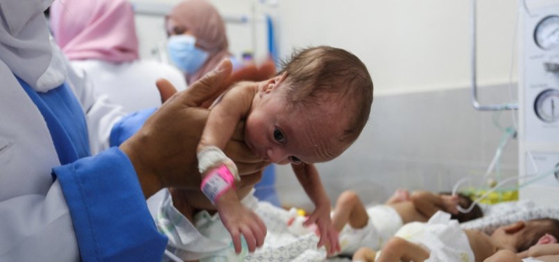 31 PREMATURE BABIES EVACUATED FROM AL-SHIFA HOSPITAL