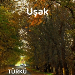 Uşak Türküleri