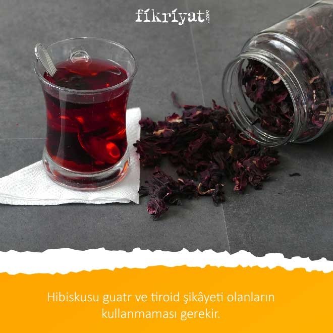 Hibiskus çayı nasıl demlenir?
