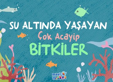 Su Altında Yaşayan Çok Acayip Bitkiler