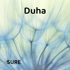 Duha Suresi'ni Arapça ve Türkçe Dinle (Duha Suresi'nin anlamı) 