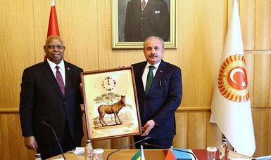 Turkish parliament head meets Zimbabwean counterpart