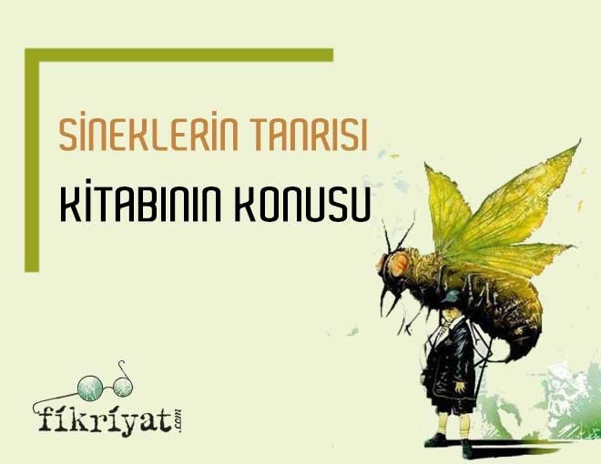 SİNEKLERİN TANRISI KİTABININ KONUSU