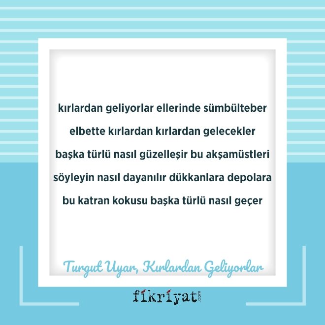 Kırlardan Geliyorlar