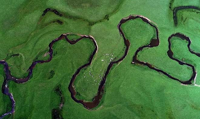 Karadeniz’in doğa harikası: Perşembe Yaylası