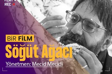 Bir Film I Söğüt Ağacı