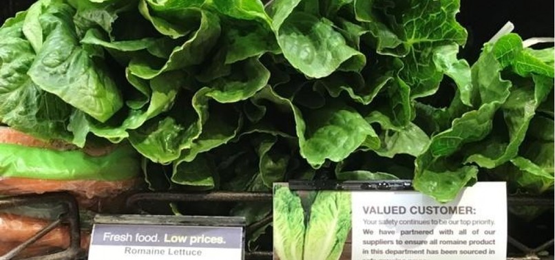 HEALTH OFFICIALS URGE AMERICANS, CANADIANS NOT TO EAT ANY ROMAINE LETTUCE AMID E. COLI OUTBREAK