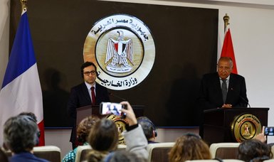 Egypt calls for cease-fire in Gaza, timeframe for Palestinian state