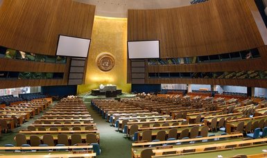 UN General Assembly calls for 'immediate' end to Russia-Ukraine war
