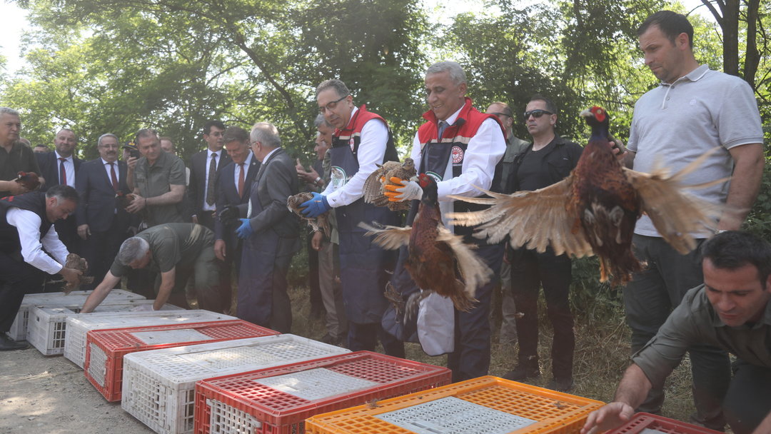 KARADENİZ’DE ZARARLI BÖCEKLERLE MÜCADELE