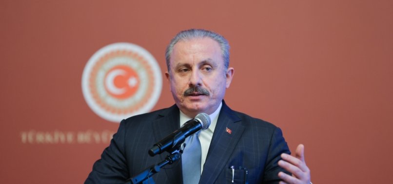 TURKEYS PARLIAMENT HEAD ŞENTOP CALLS FOR CONCRETE STEPS AGAINST RACISM AND ISLAMOPHOBIA
