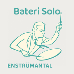 Bateri Solo