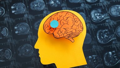 Güçlü Bir Hafıza İçin Neler Tüketmeli