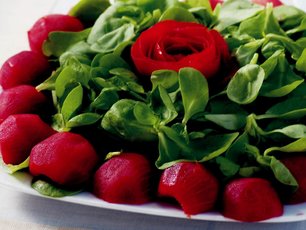Semizotu Salatası