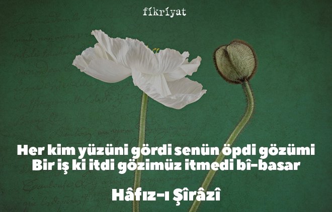Hafız Divanından Alıntılar