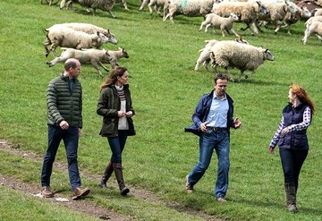 Prens William ve Kate Middletonın çiftlik ziyareti