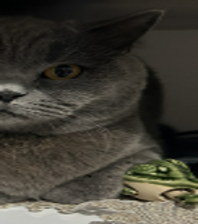 Balım