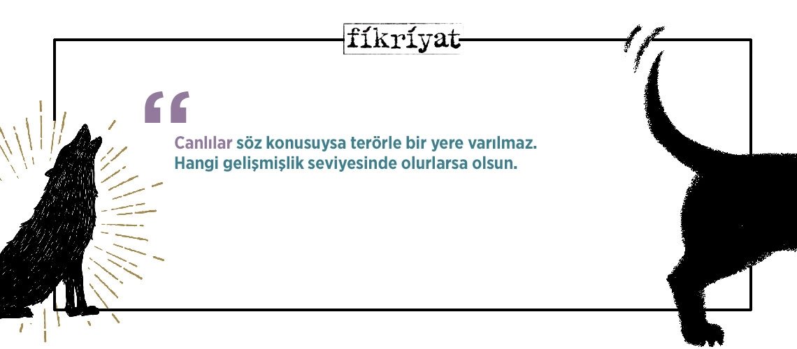 Mihail Bulgakov’un yasaklı kitabı köpek kalbi’nden 30 alıntı