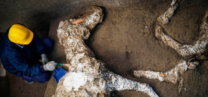 ARCHAEOLOGISTS UNEARTH PETRIFIED HORSE IN ANCIENT STABLE NEAR POMPEII