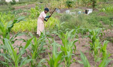 Food insecurity in Africa should be overcome in 5 years -AfDB head