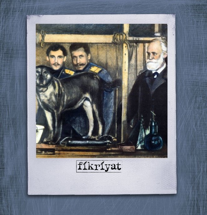 DENEYİN İKİNCİ KISMI