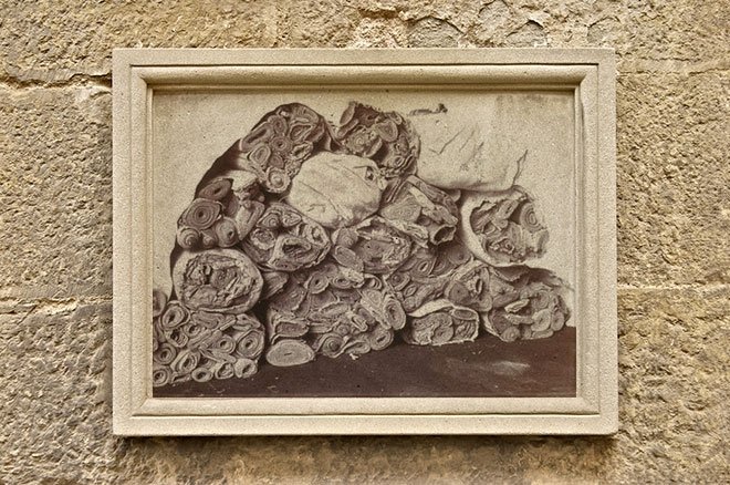 ESKİ VE ORTA ÇAĞLARIN ANSİKLOPEDİSİ